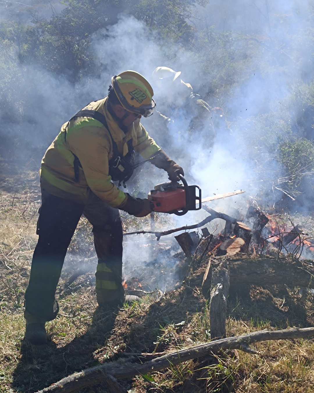 Tercer día de trabajo de la Agrupación Serrana en el Incendio "La Batea", Río Pico, Chubut