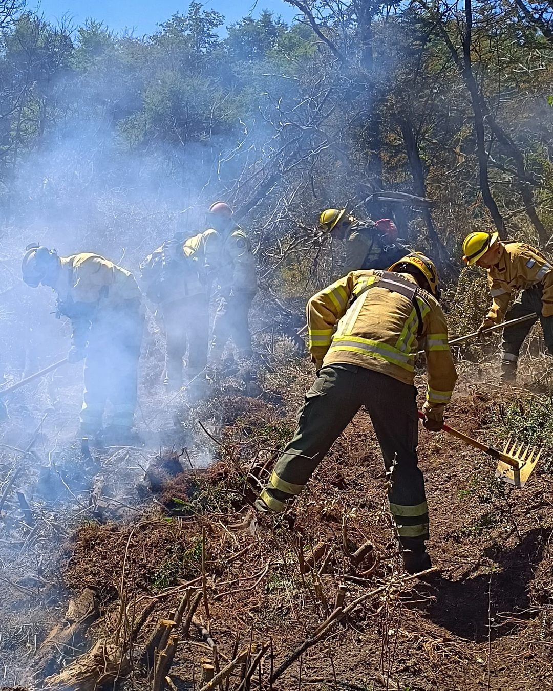 Tercer día de trabajo de la Agrupación Serrana en el Incendio "La Batea", Río Pico, Chubut