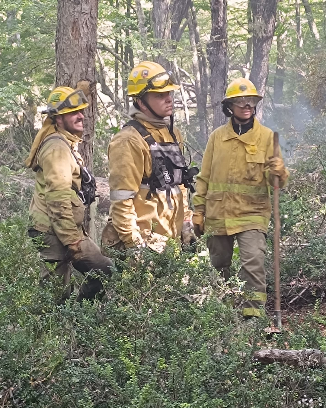Tercer día de trabajo de la Agrupación Serrana en el Incendio "La Batea", Río Pico, Chubut