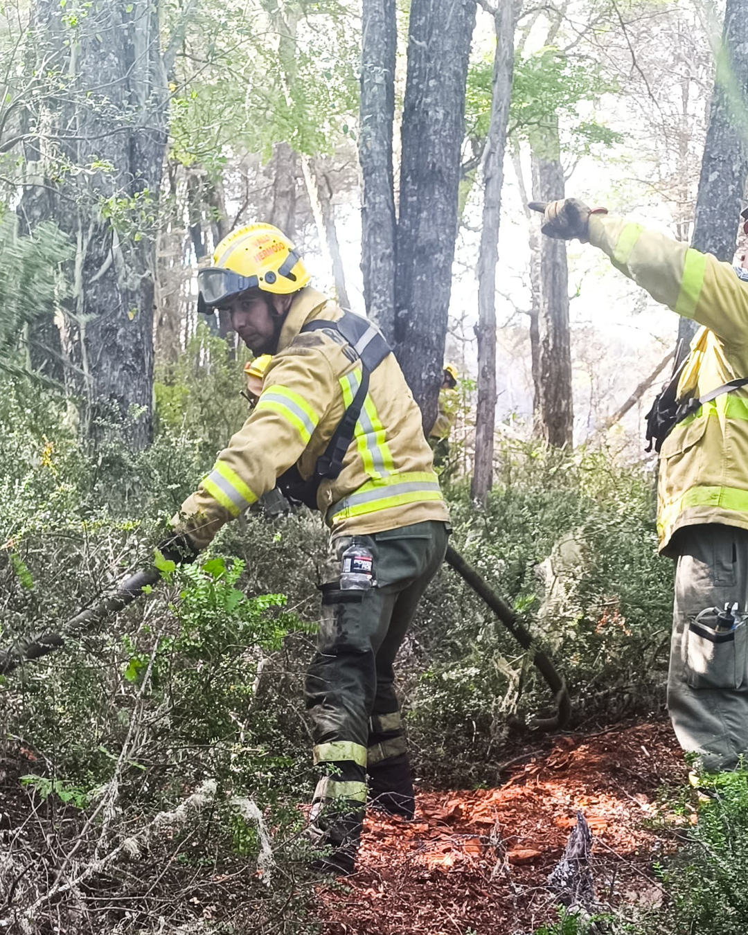 Tercer día de trabajo de la Agrupación Serrana en el Incendio "La Batea", Río Pico, Chubut