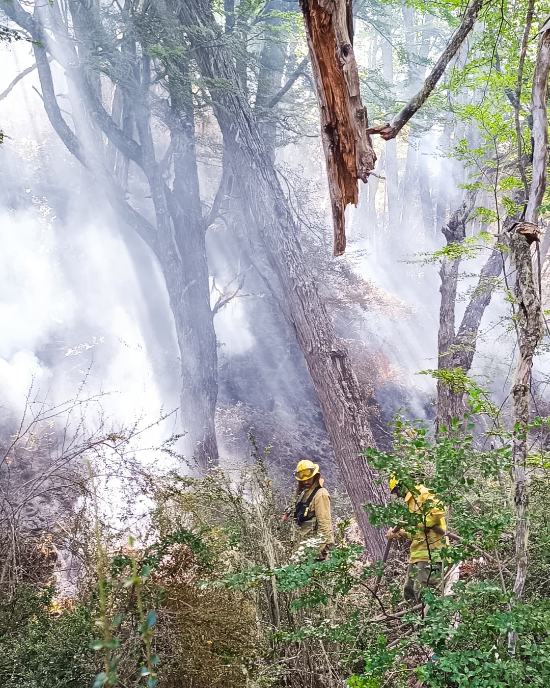 Tercer día de trabajo de la Agrupación Serrana en el Incendio "La Batea", Río Pico, Chubut
