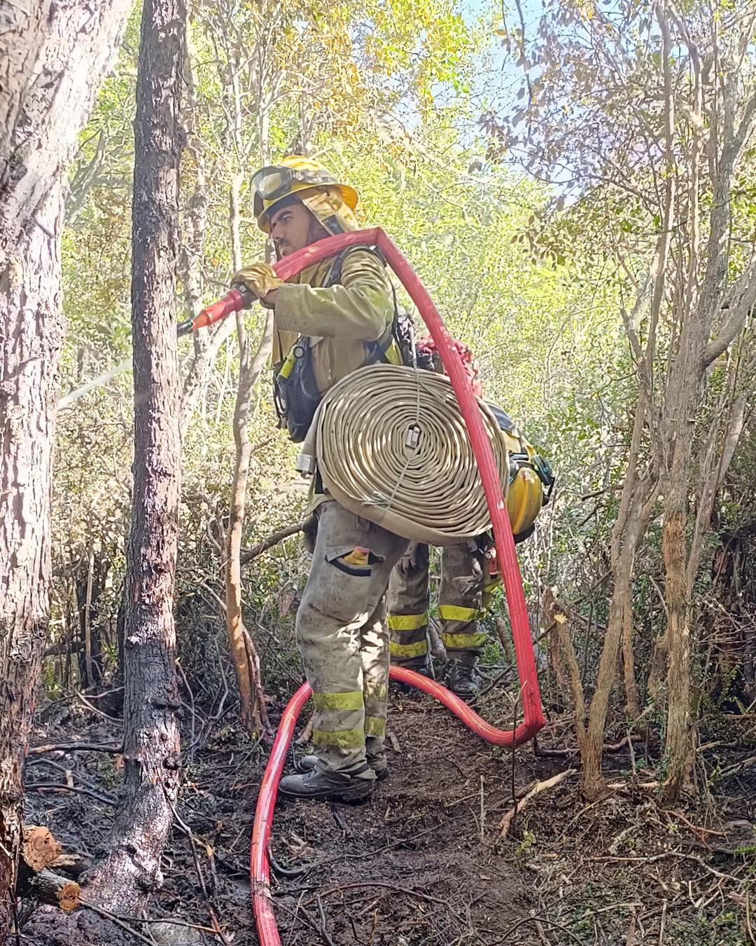 Tercer día de trabajo de la Agrupación Serrana en el Incendio "La Batea", Río Pico, Chubut