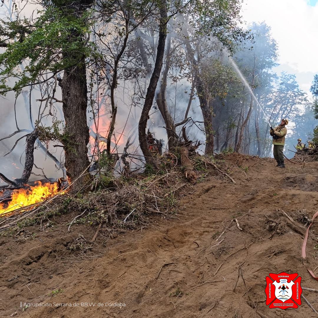 Continua el combate de los incendios forestales en el Parque Nacional Los Alerces