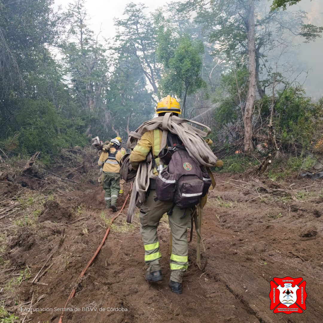Continua el combate de los incendios forestales en el Parque Nacional Los Alerces