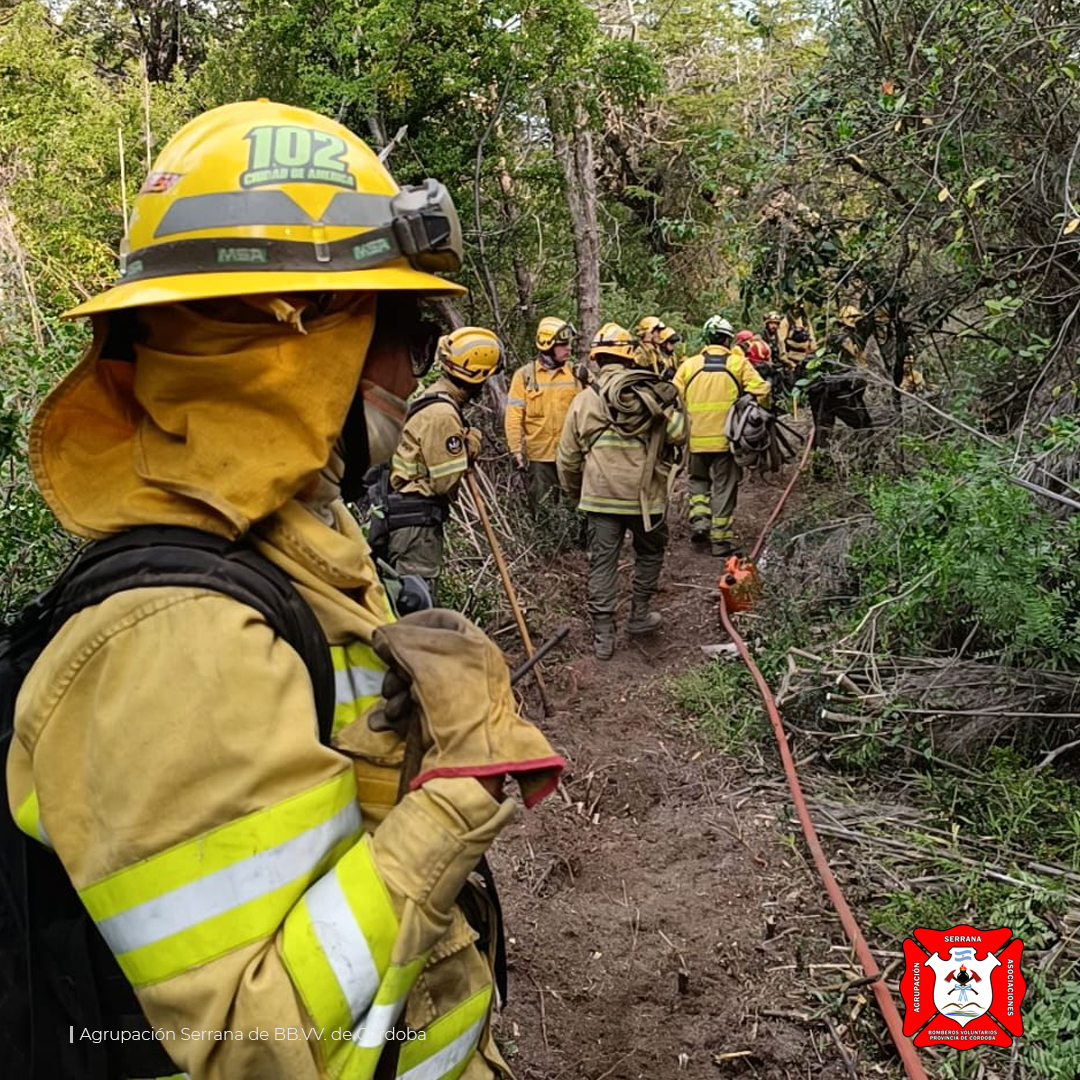 Continua el combate de los incendios forestales en el Parque Nacional Los Alerces