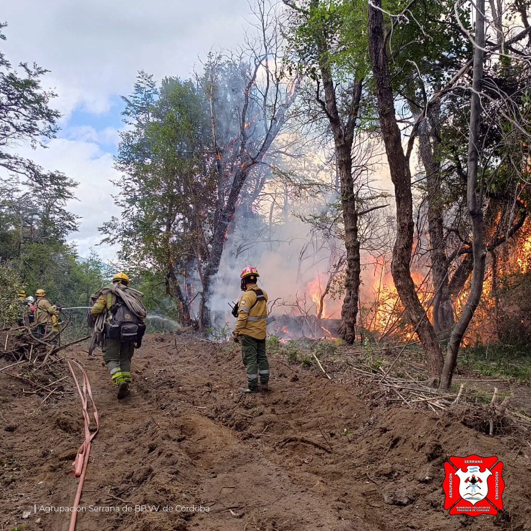 Continua el combate de los incendios forestales en el Parque Nacional Los Alerces