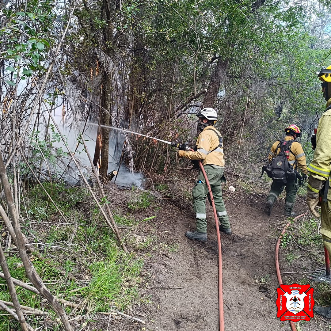 Continua el combate de los incendios forestales en el Parque Nacional Los Alerces