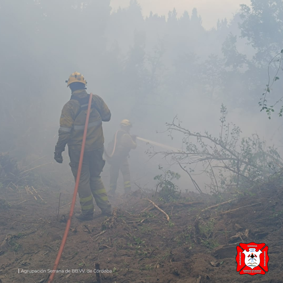 Continua el combate de los incendios forestales en el Parque Nacional Los Alerces
