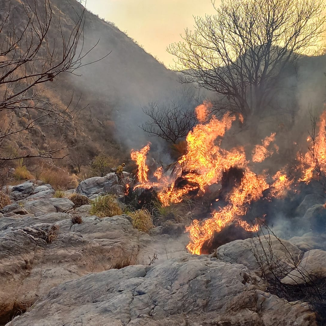 Continúa activo el incendio forestal en la Quebrada de la Mermela