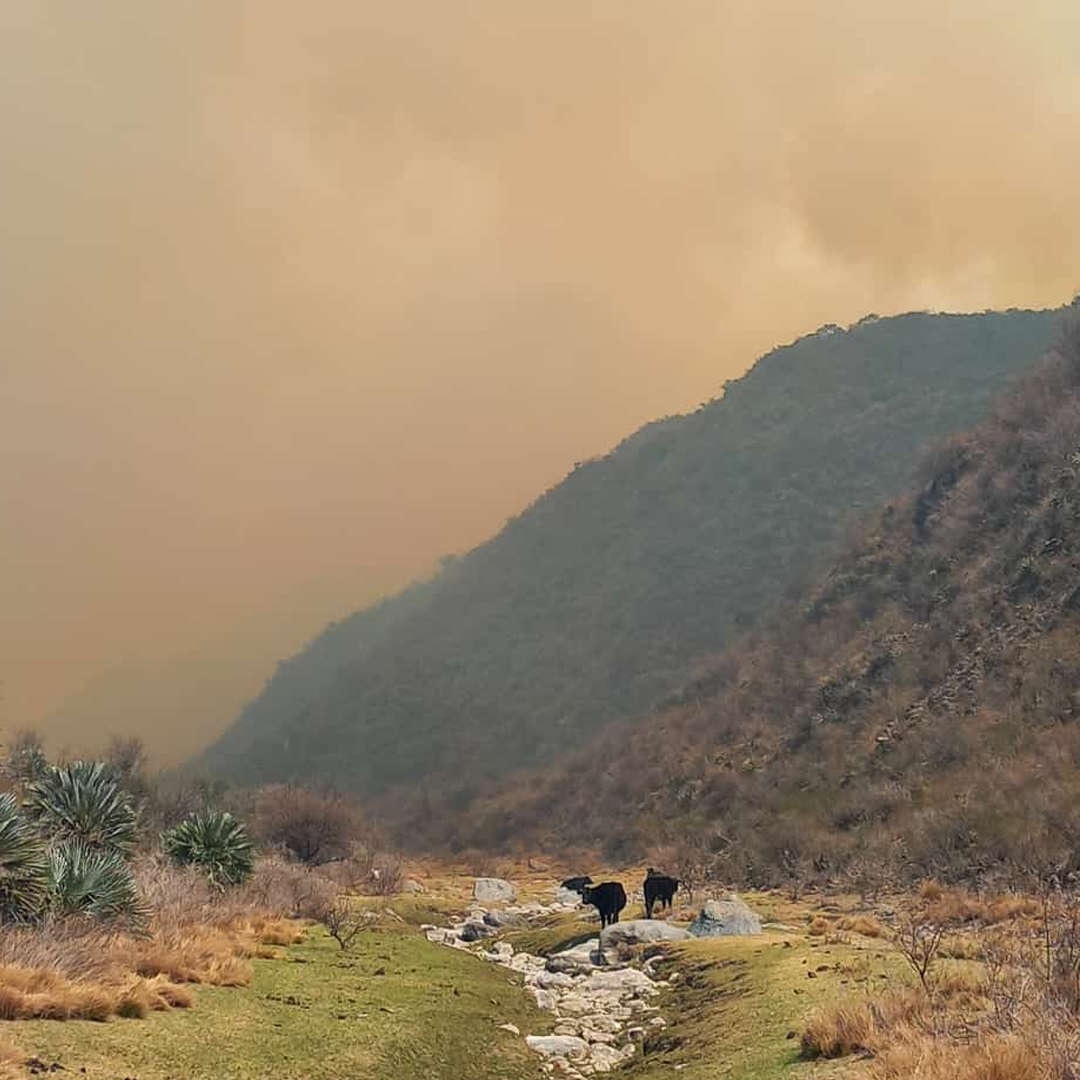 Continúa activo el incendio forestal en la Quebrada de la Mermela